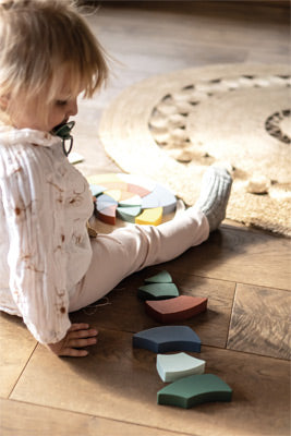 Safari Montessori Wooden Puzzle – Shape, Colour & Size Learning Toy